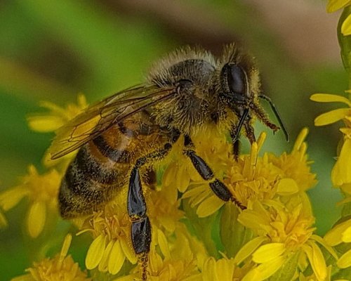 Światowy dzień fotografii. Natura.