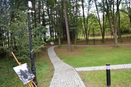 550184977_1175098317775419_2551625803823379839_n (1).jpg