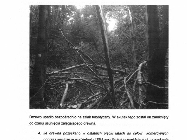 Interwencja w sprawie wycinki lasów wokół w lasach uzdrowiskowych wokół Iwonicza-Zdroju i Rymanowa-Zdroju - odpowiedź - 0006.jpg